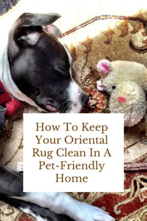 How To Keep Your Oriental Rug Clean In A Pet-Friendly Home