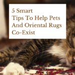 5 Smart Tips To Help Pets And Oriental Rugs Co-Exist