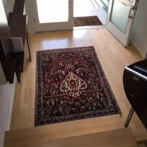 Entrance Rugs