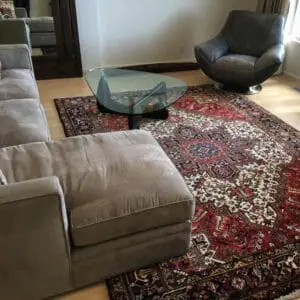 Living Room Rugs
