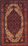 Medallion rug design and pattern