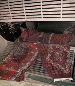 dust removal from persian rugs